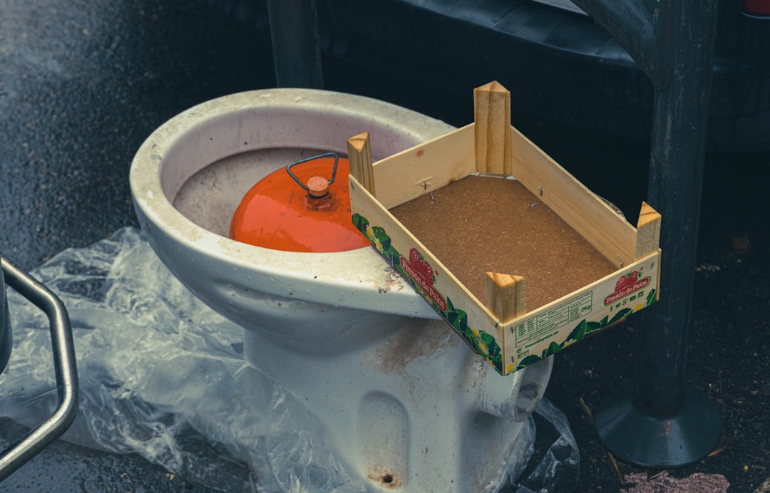 水糖プレミアムセット